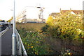 An overgrown platform, Gillingham Station