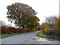 NY4960 : Country lane near Irthington by Oliver Dixon