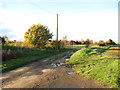 Access road to Nut Tree Farm