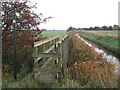 Footbridge on Newchurch Lane