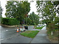 Temporary traffic lights in Guildford Road