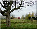 Derelict land at Blakenhall, Wolverhampton