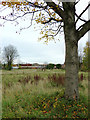 Blakenhall Gardens regeneration site, Wolverhampton