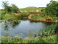 Pond near Rogersceugh Farm