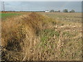 Drainage Channel towards Lodgeland Farm