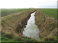 Brenzett Sewer - looking towards Ivychurch