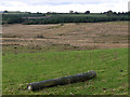 Rough grazing east of the Afon Ddu