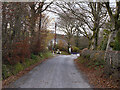 Road entering Blaenpennal from the east