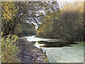 Manchester, Bolton & Bury Canal, Little Lever