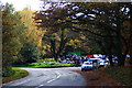 Cross Roads Car Park, High Beach, Essex