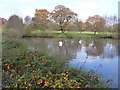 Pond southwest of Wall under Heywood