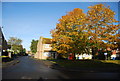 Autumn colours, Beauvoir Way, Kemsley