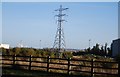 Pylon near the paper mill