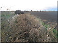 Drainage channel towards Pickney Bush Lane