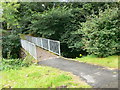Footbridge over Nant y Ffynnon from Coed Coch Road to Ddol Ddu