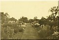 Garden of Lygon Arms Hotel, Broadway in 1938