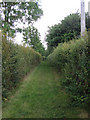 Footpath from Saxon Street