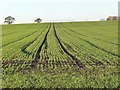 Parallel lines in a sloping field