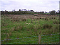 Liminary Townland