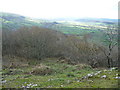 Part of the southwestern shoulder of Moel y Golfa in November