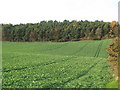 NY9665 : Farmland east of Anick Grange (4) by Mike Quinn