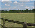 Trig point at East Green