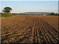 Ploughed field at Besford