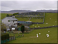 Graveyard near Trawsfynydd station