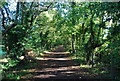 Bridleway heading from Croham Hurst