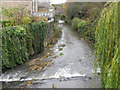 River Brue, Bruton