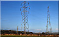 J4795 : Pylons and power lines, Ballystrudder, Islandmagee (1) by Albert Bridge
