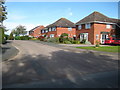 Modern houses in Kingstone