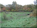 Hertford: Braziers Field Flood Storage Area