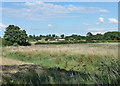 Farmland near Longslow