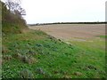 Countryside near Dewlish