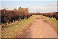 Billy Button lane looking towards Torworth