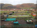 Tillicoultry allotments