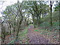 Bridleway, Langdon Nature Reserve