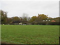 Llamas on guard at Quennells Farm