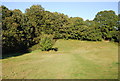 LOOP between Littleheath Wood and Bramley Bank