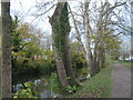 Footpath beside the Royal Military Canal in Hythe