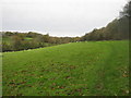 Footpath towards Saltwood Castle