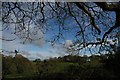 Cornish landscape near Trelissick, off the National Cycle Route