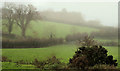 Misty fields, Banbridge (1)