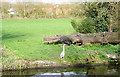 Fishing on the canal