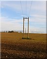 Field with electricity