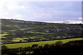 Holiday cottages and golf course at Willingcott