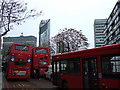 London buses at the Elephant and Castle