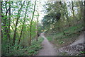 Footpath, Further Plantation