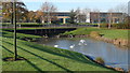 Water garden, Cheadle Royal Business Park